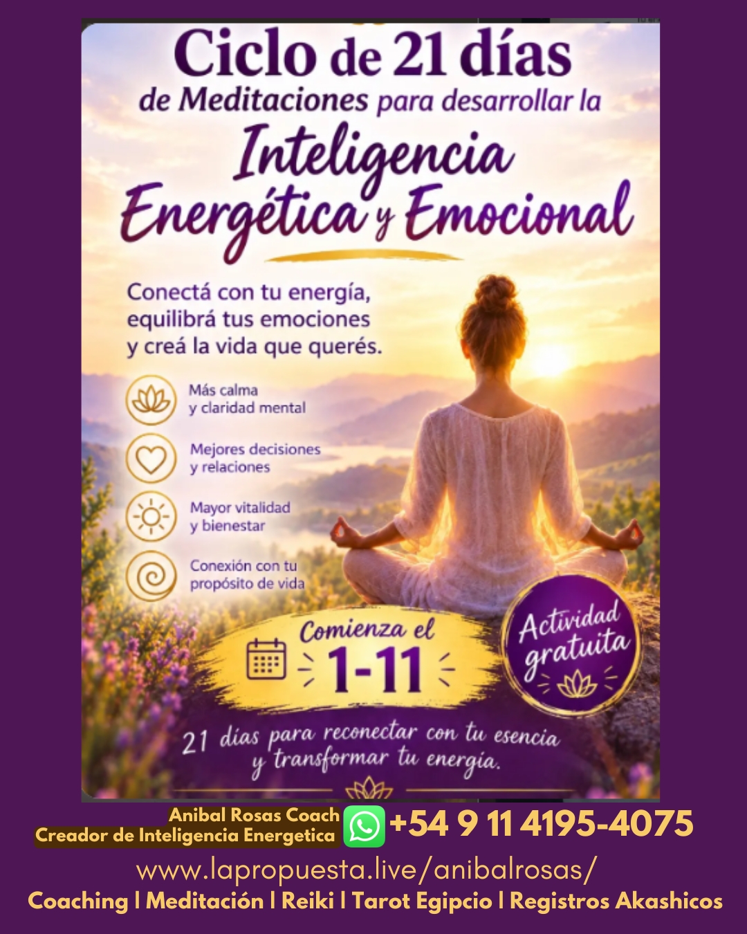 Ciclo de 21 Días de Meditaciones para Desarrollar la Inteligencia Energética y Emocional - Actividad Gratuita Aníbal Rosas