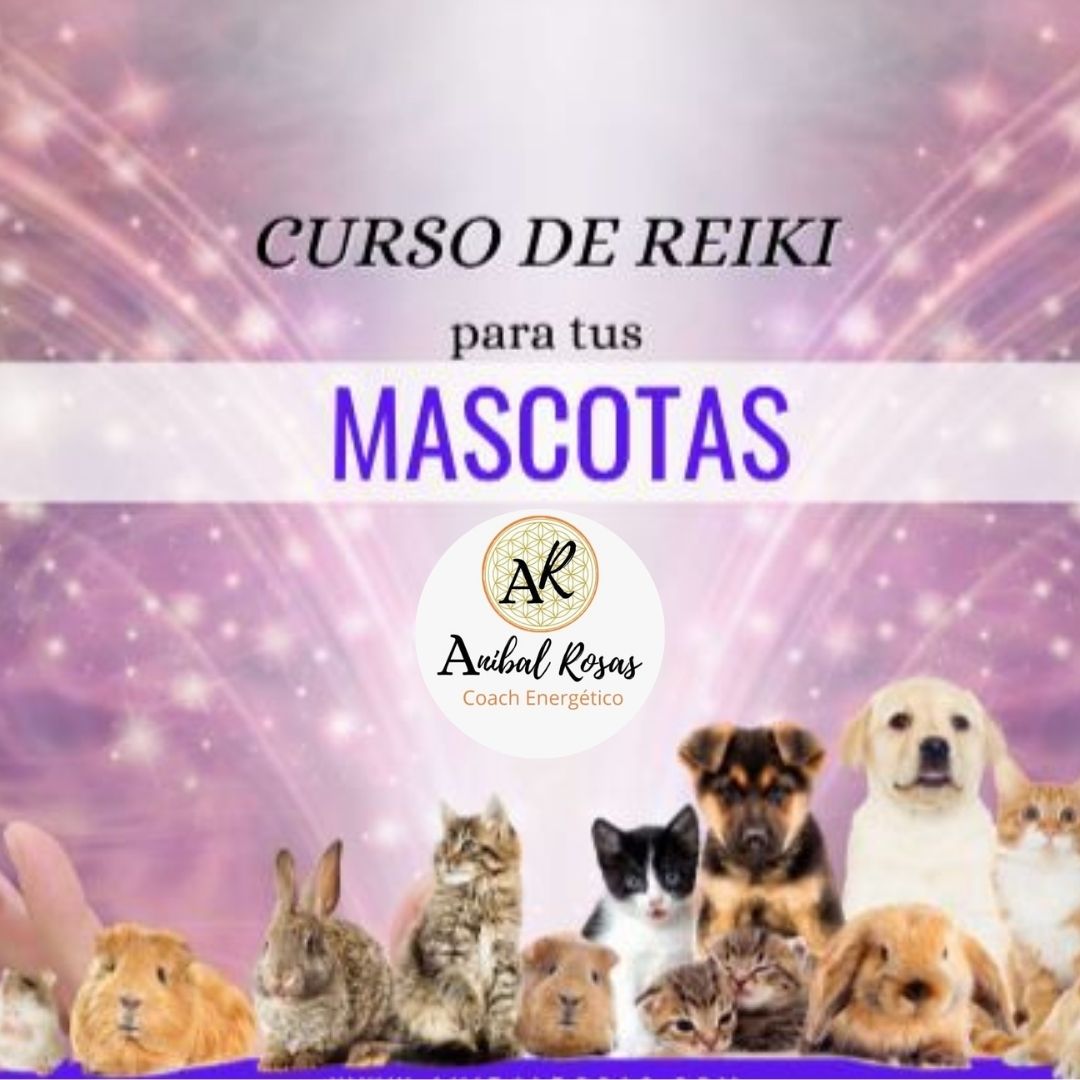 Reiki Mascotas